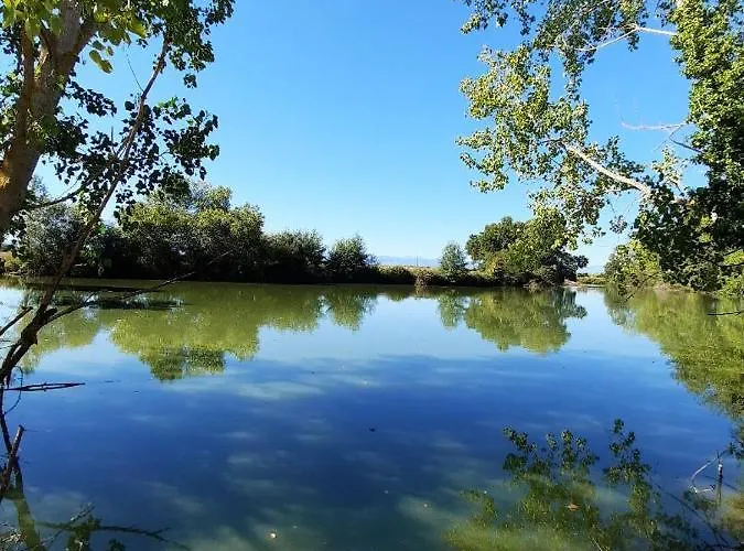 Demeure De Charme Mazères